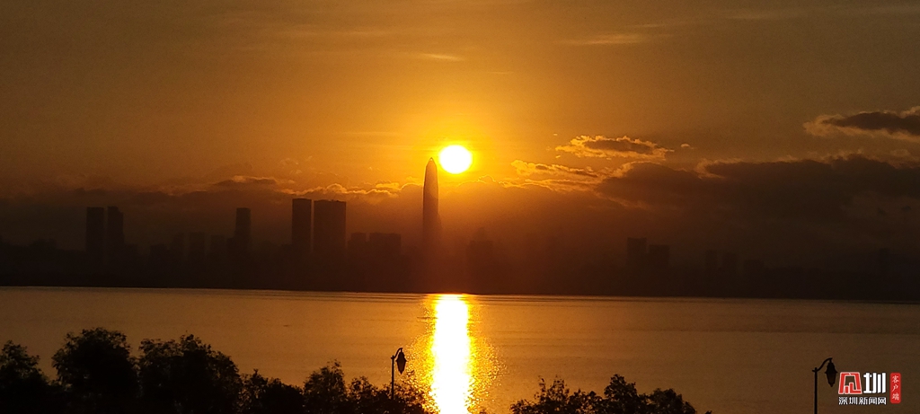 组图日出深圳湾一轮旭日的诗情画意