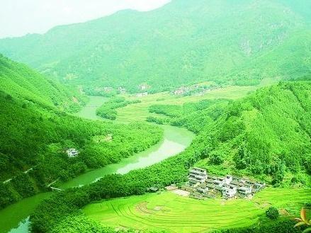 “林业碳汇”为村民带来35万元收益！肇庆市广宁县探索生态创收“金钥匙”