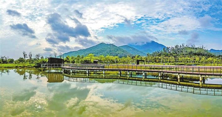 大鹏新区:山海公园带践行"山海连城"战略_深圳新闻网