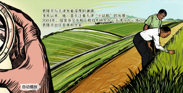 长卷还用细腻动人的笔触再现了袁隆平与天津的深厚渊源;回溯了他从31