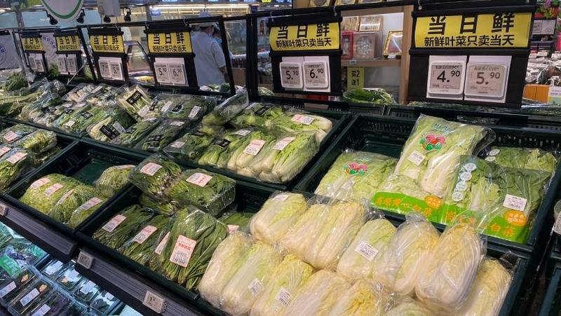 广州：主力品种蔬菜价格基本稳定