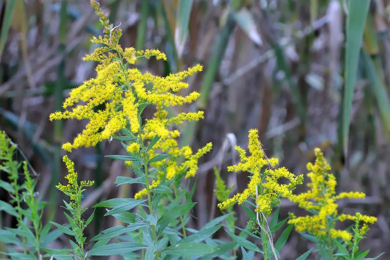 fc9273e5-a3b8-40e8-a43e-ee55422aeb9d.jpg.2