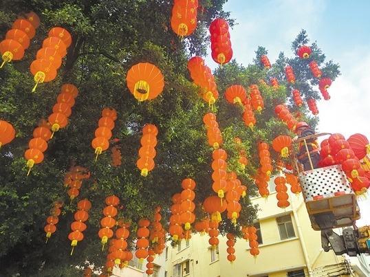 逾130万盆时花装点城市，江门街头节日气氛浓