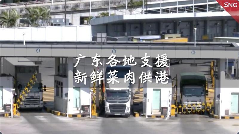 广东省多地全力配合，保障新鲜菜肉等安全稳定供港