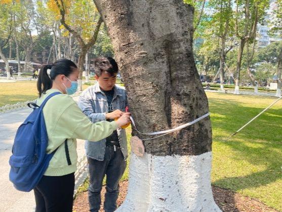 全方位体检 精细化养护——广州全面深入保护古树名木