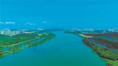 广州节水护水持续发力 水清岸绿宜人