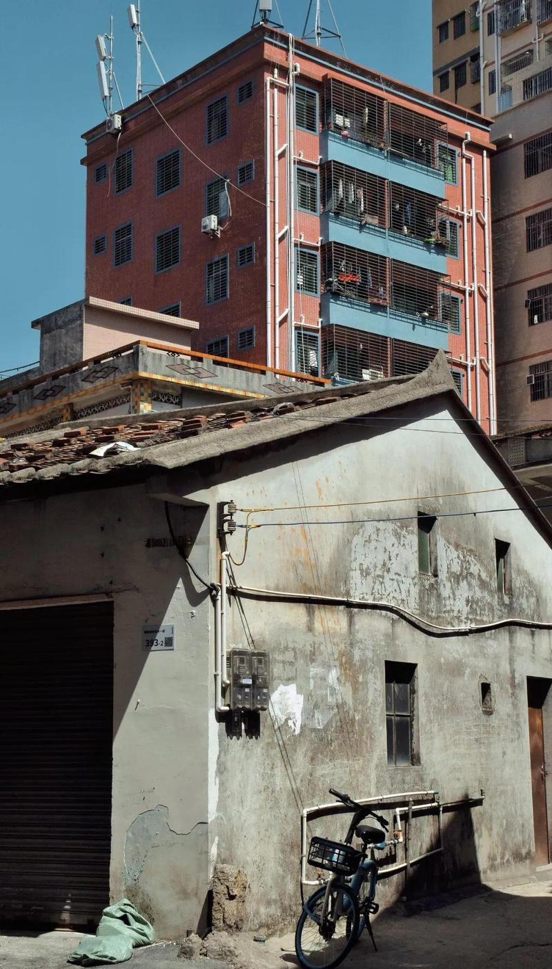 光明楼村分为新村和旧村,相较于新村,旧村里的建