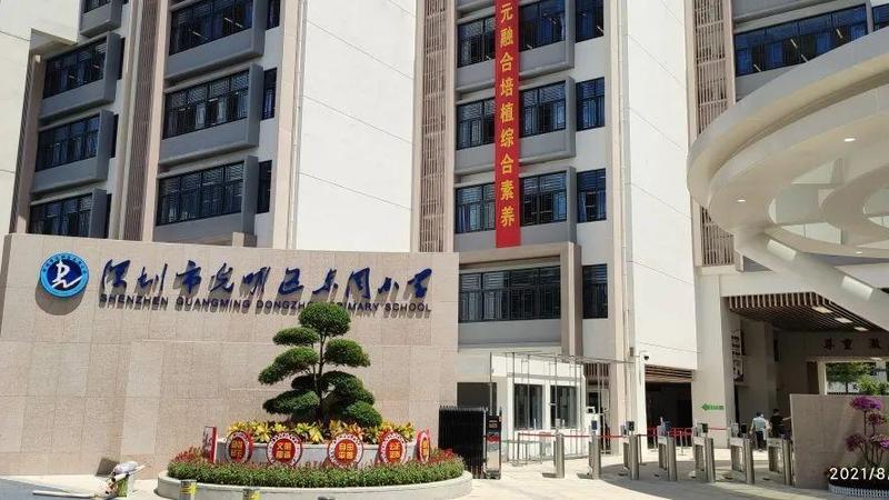 校园一隅东周小学让每一个生命向阳生长