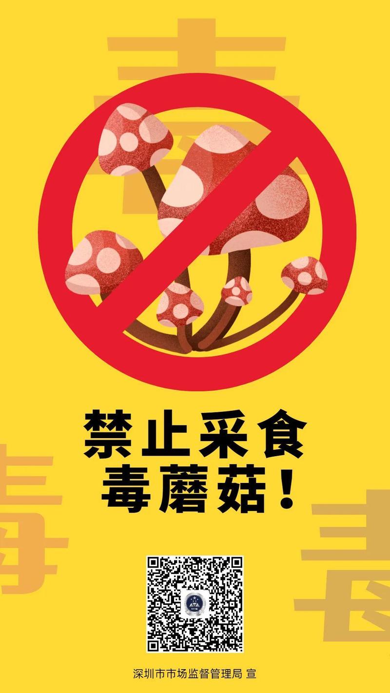 生怕你误食毒蘑菇坪山管哥们集中清除销毁15千克