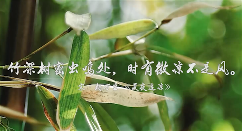 明·高濂《遵生八笺》初夏时节,蝼蝈齐鸣,蚯蚓并出,植物汲取阳光雨露