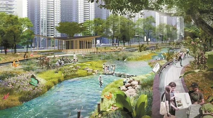 君子布河龙华段碧道年内开工建设 将为片区增加约8万平方米湿地 贯通沿线约4.6公里慢行道_深圳新闻网