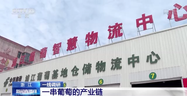 浦江电子商务