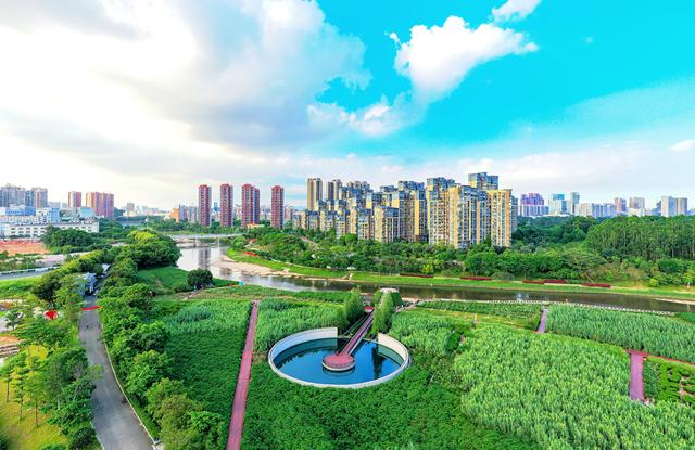 打卡深圳湿地|观澜河湿地公园:一半诗与远方 一半人间烟火_深圳新闻网
