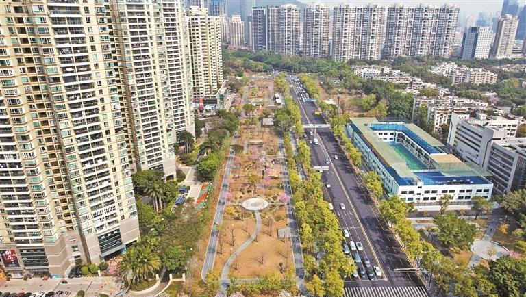 深圳上步绿廊规划设计获全国一等奖