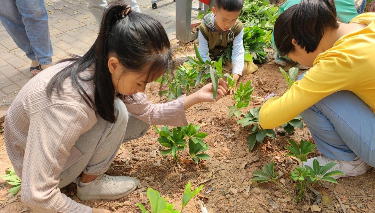 福中福社区开展“童心守护，绿色家园”植树活动