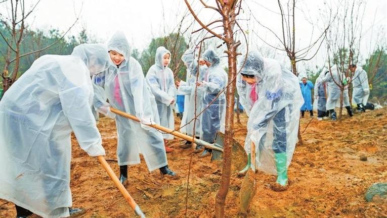“美丽中国·步步有树”公益活动庐山杏林启动