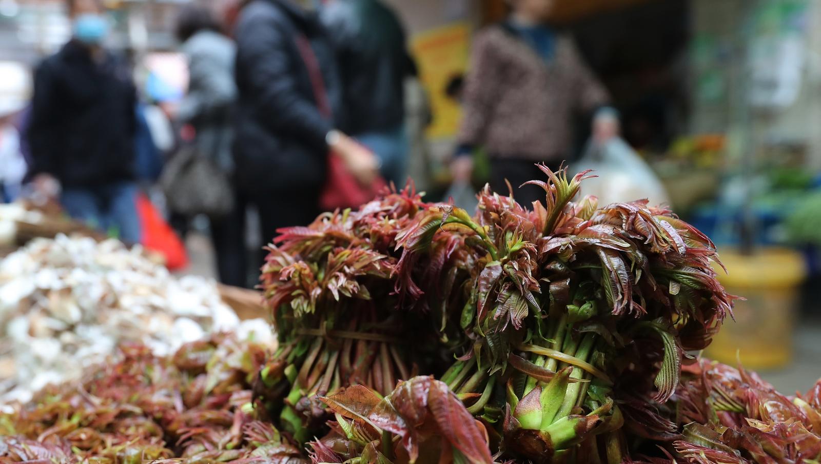 香椿一斤降价超20元！河南郑州春季野菜大量上市，价格回落