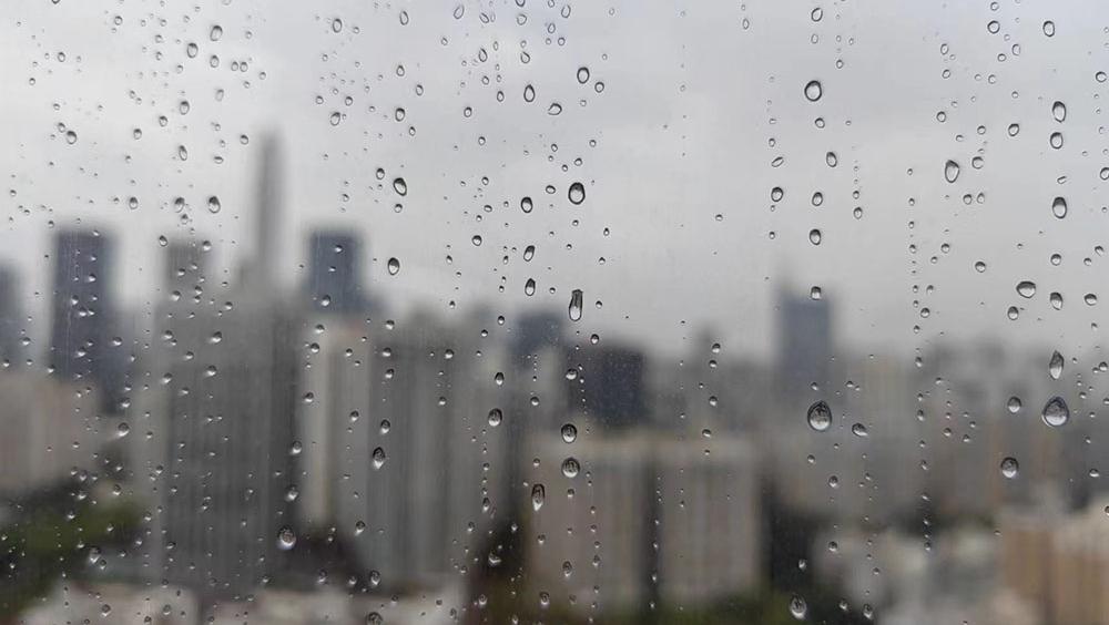 深圳市昨迎今年首场雷雨大风