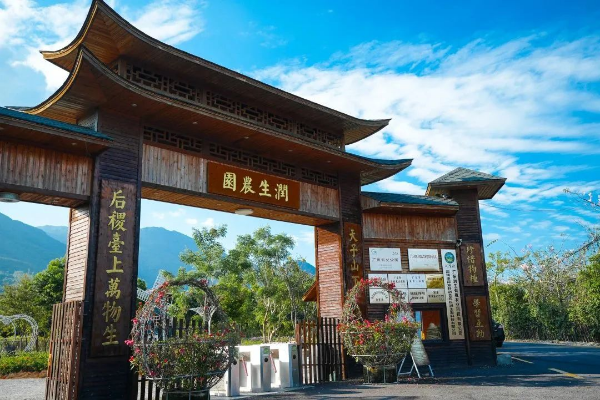 探寻大安月亮泡的独特魅力与变迁