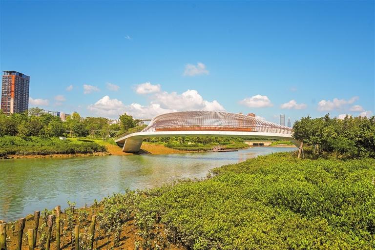 前海石公园桂湾河水廊区级湿地公园挂牌_深圳新闻网