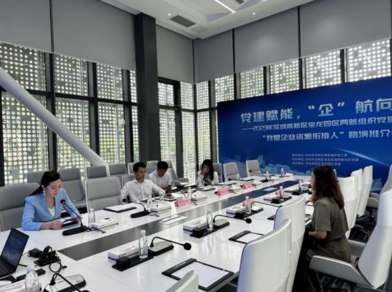 搭建对接桥梁!宝龙街道开展“我是企业资源衔接人”路演推介会_深圳新闻网