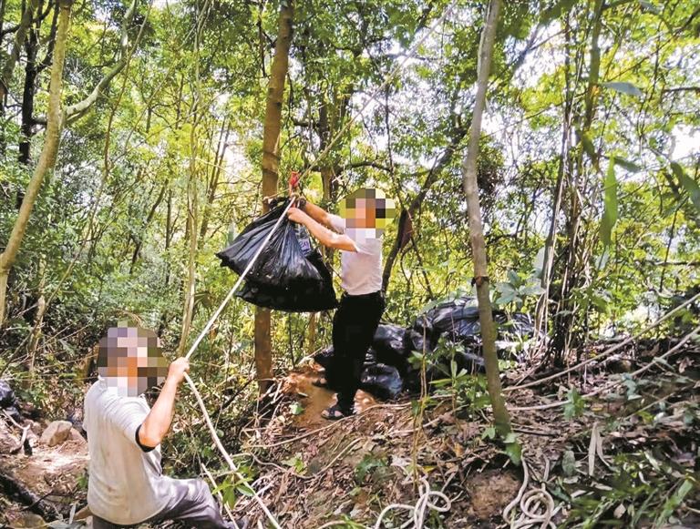 公园密林处发现了“垃圾山” 阳台山森林公园大量垃圾违法堆放 深圳检察官发出《检察建议书》