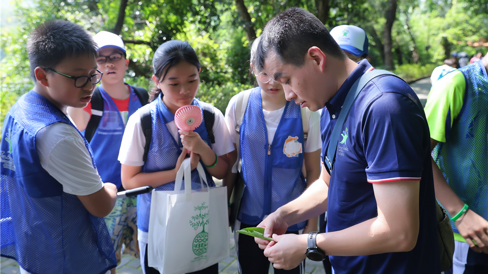 仙湖植物园自然科学探索营 带领青少年探索自然奥秘