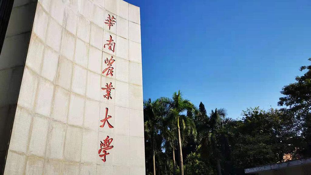 广东公示首批省重点马克思主义学院，来自这10所高校