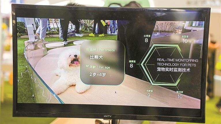 未来穿戴身份识别用上脑电波 “刷脸识狗”为宠物建健康档案