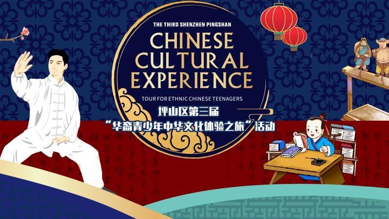 收官！这场“中华文化体验之旅”获华裔青少年点赞