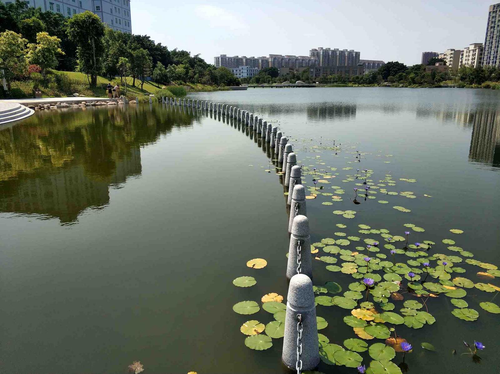万丰湖湿地公园.