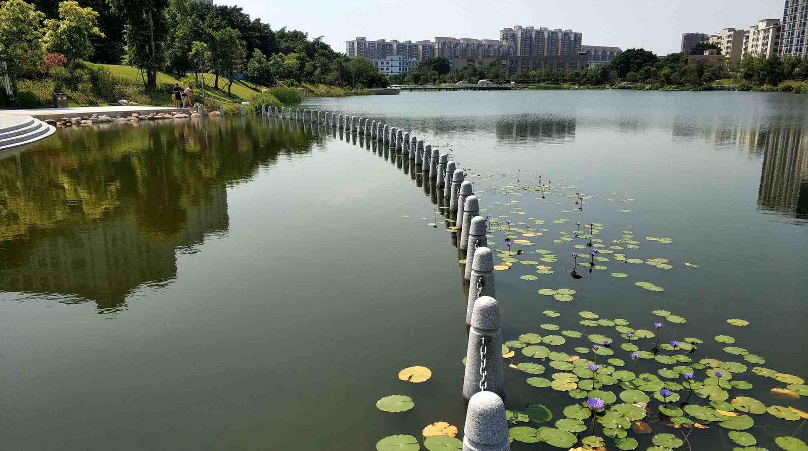 深圳市节水型公园创建名单出炉 宝安10个公园上榜