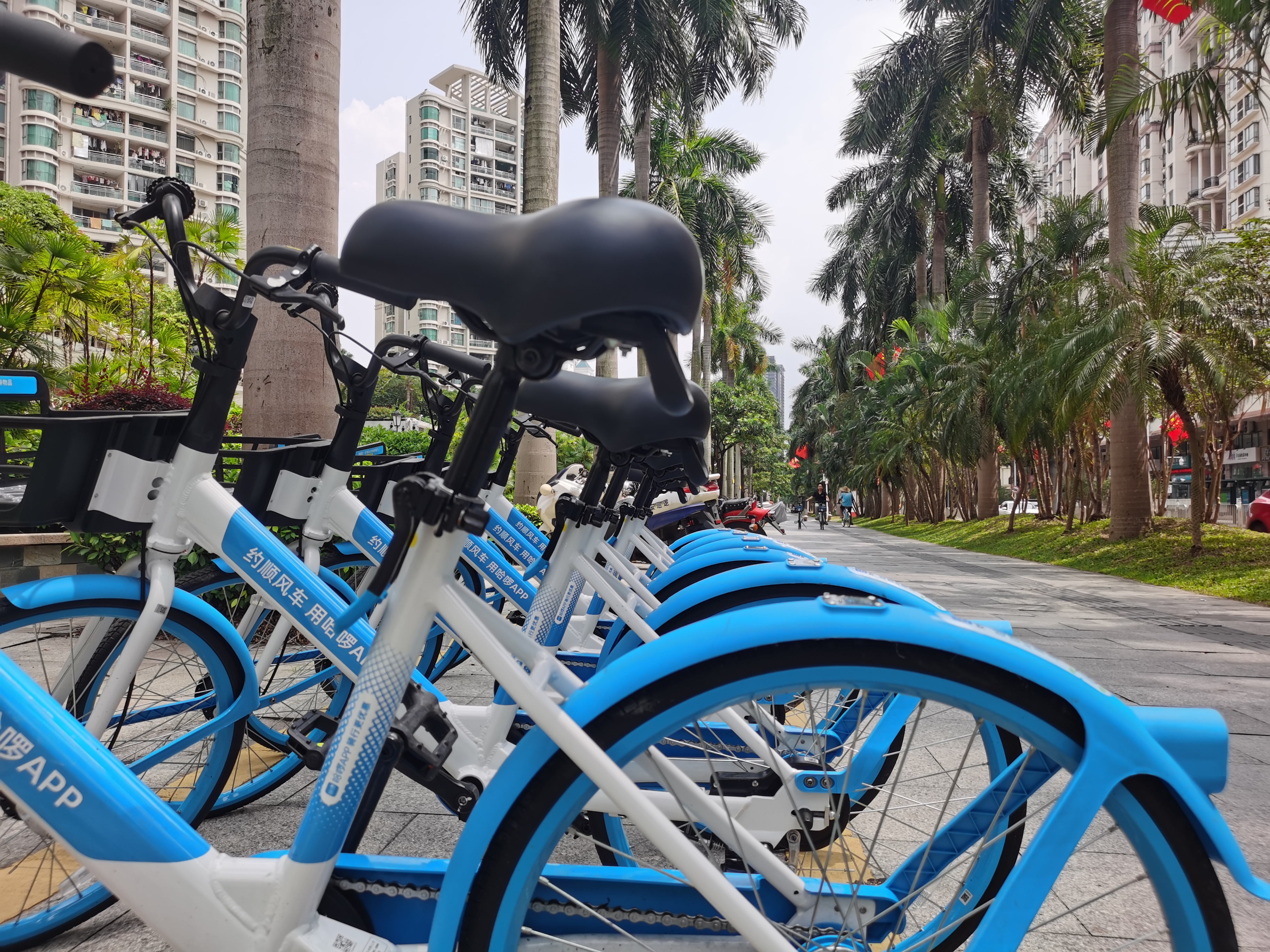 共享单车新选择哈啰正逐步进入深圳各区