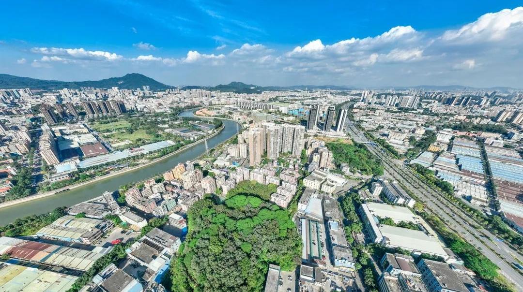 松岗街道一社区一品牌 | 碧头社区——事“碧”躬亲 四“美”家园