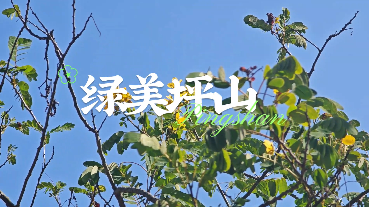 绿美坪山｜聚龙山湿地公园：诗意栖息的自然之境
