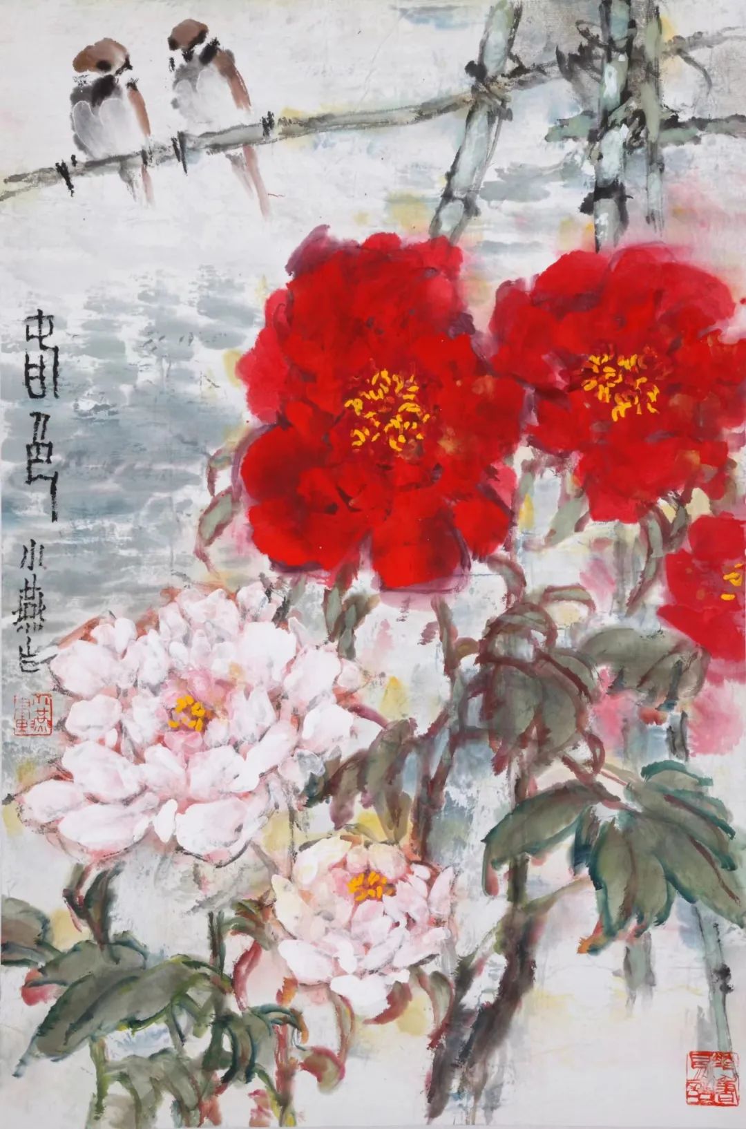 王小燕照片 30677691_f3b434d0-0bb4-4860-911a-1c70e73e01a9.jpg