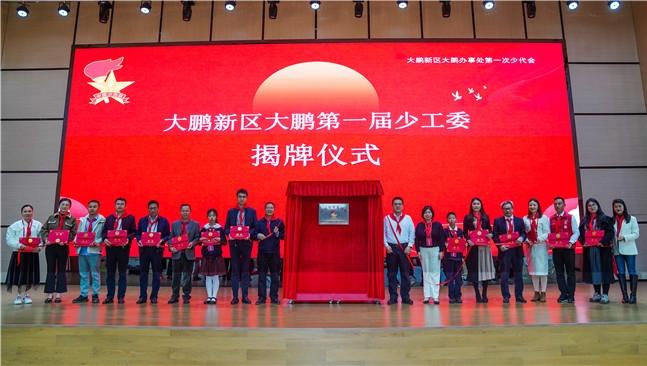IN视频 | 听童声 聚童智，大鹏办事处少工委揭牌成立