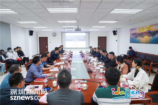 大鹏新区查违办召开历史违建处理项目不动产权证书颁证现场会