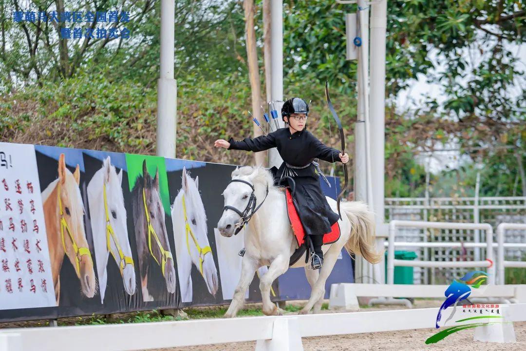 单匹最高拍出9.8万元!中国品牌PONY马“蒙萌马”大湾区首发萌动全场_深圳新闻网