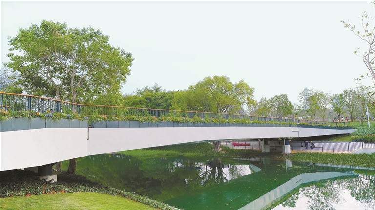 笔架山公园跨福田河园桥项目顺利完工 历时75天建成！打造生态交融城市新亮点