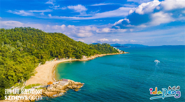 志愿红越山海葵涌3条志愿服务路线等你来