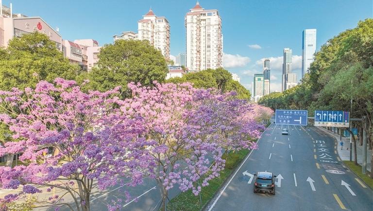 2024年一季度深圳市市容环境综合指数发布