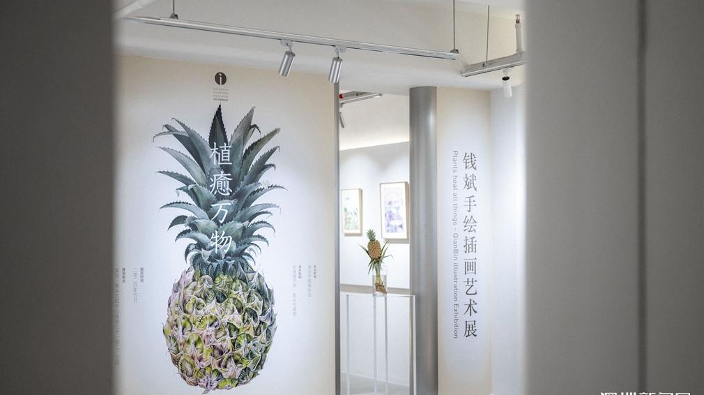 5月1日起免费开放 植物与手绘插画艺术展览在深圳南头古城开展