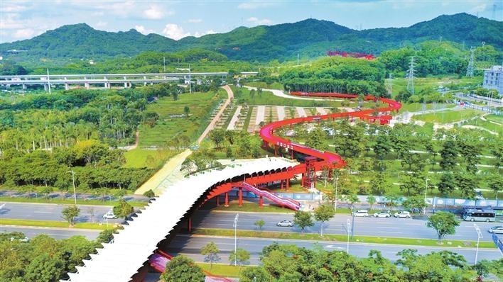 特色活动聚人气 爱心服务获点赞 虹桥公园有风景更有“温度”