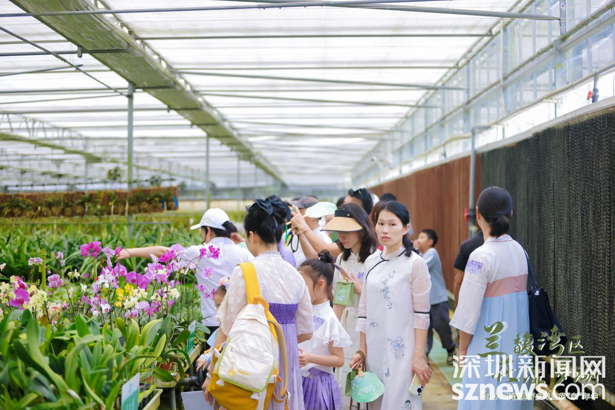 来罗湖穿汉服游园赏兰! 深港青少年"朋友圈"亮了