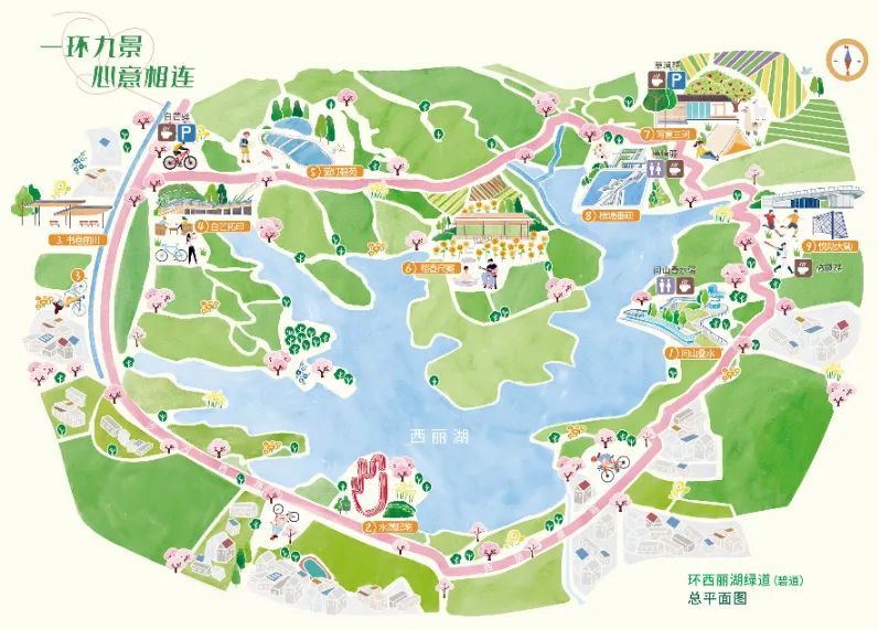 超美!被深圳环西丽湖绿道(碧道)浪漫到了_深圳新闻网