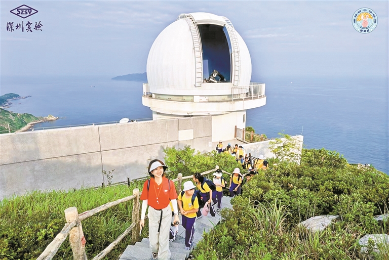 “考场”设在虫鸣星空下