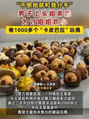 男子上头姐弟恋，为讨欢心偷1000多个“卡皮巴拉”玩偶