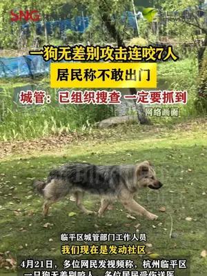 一狗无差别攻击连咬7人 居民称不敢出门