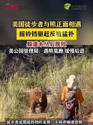 美国一徒步者正面遭遇熊，不退反进摇铃铛遭熊猛扑